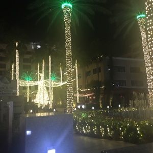 Meet your Posher, Lorane